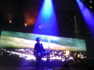 <a href='concert.php?concertid=742'>2008-11-08 - Verizon Wireless Arena - Manchester</a>