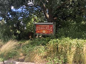 <a href='concert.php?concertid=1086'>2022-09-07 - Edgefield - Troutdale</a>